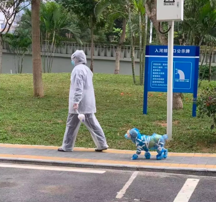 Seekor anjing dan pemiliknya jalan-jalan lengkap dengan pakaian pelindung