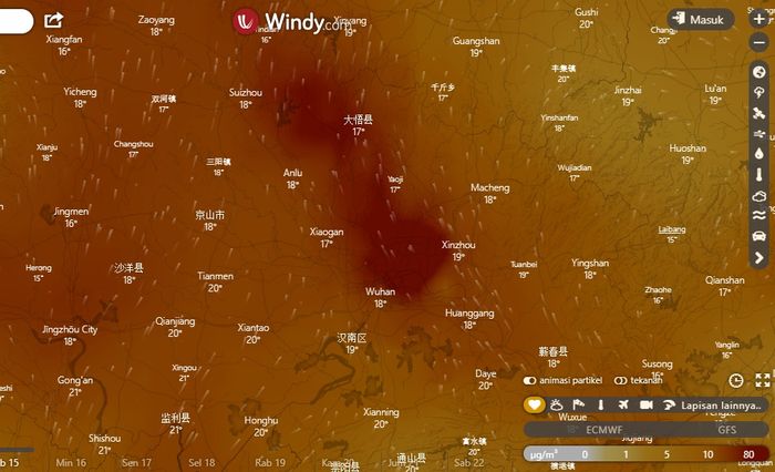 Berburu Daging Manusia Ribuan Burung Gagak Tertangkap Kamera
