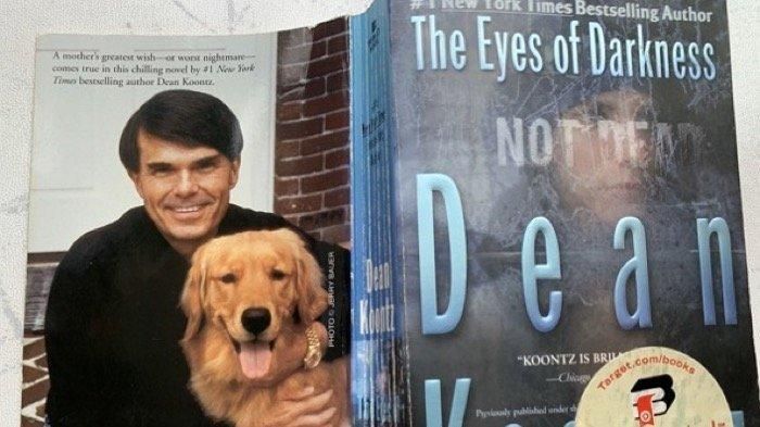 Buku The Eye of Darkness