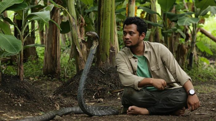 Panji Petualang kabur saat lihat hewan mungil ini