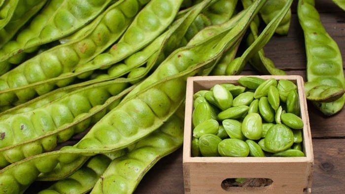 Jangan Langsung Dibuang, Siapa Sangka Kulit Petai Bisa Jadi Obat Ampuh untuk Diabetes hingga Asam Urat