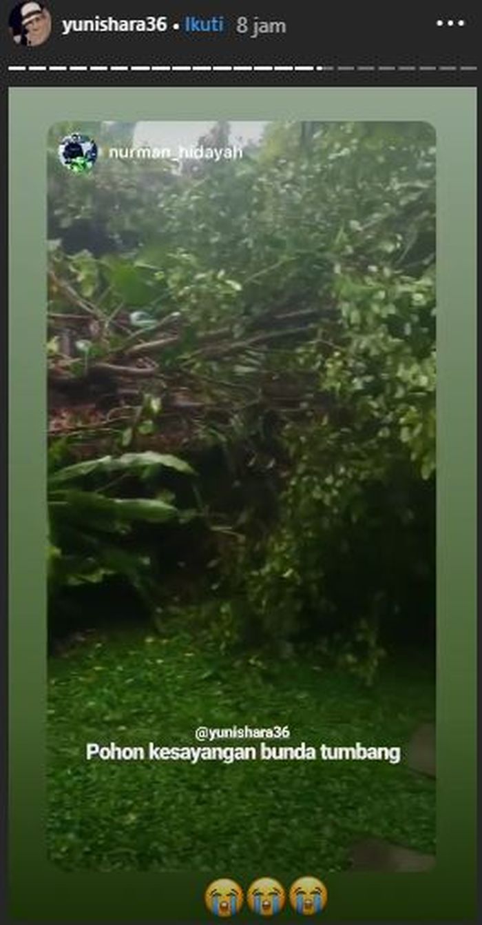 Kebun rusak dan pohon kesayangan Yuni Shara rusak lantaran