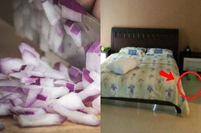 Jangan sepelekan lagi, coba taruh irisan bawang merah disudut ruangan! hal baik ini akan muncul pada tubuh