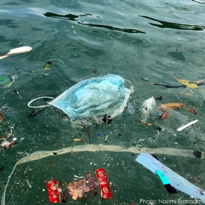 Banyak orang membuang masker ke laut.