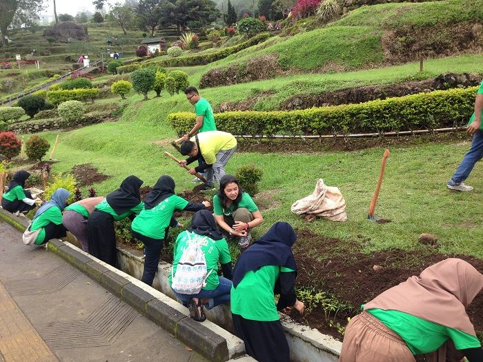 Kegiatan Siap Daling di Candi Gedongsongo