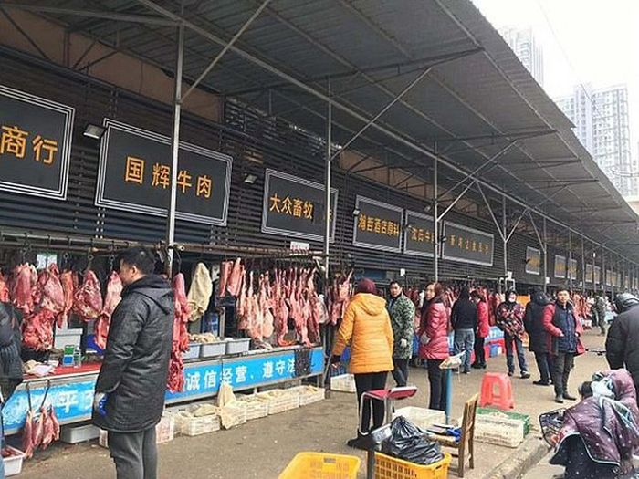 Pasar Satwa Liar di Wuhan.