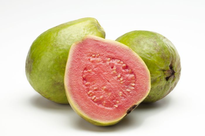 Jambu biji