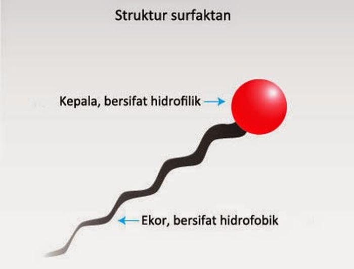 Anatomi sabun cuci tangan untuk hilangkan virus 