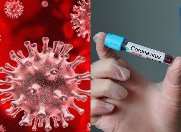 Mohon Sabar, WHO Sebut Vaksin <a href='https://pontianak.tribunnews.com/tag/virus-corona' title='Virus Corona'>Virus Corona</a> Akan Segera Diluncurkan! Begini Penjelasannya!