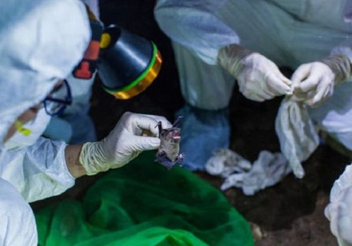 Vaksin Covid-19 Pfizer Inc klaim 90% efektif cegah infeksi virus corona, Covid-19.