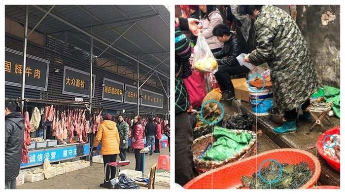 Pasar Huanan di Wuhan, China dikabarkan kembali buka usai lockdown gegara wabah corona.