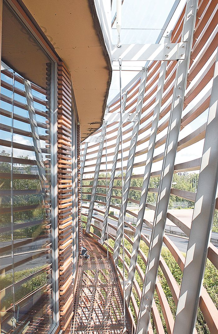 ThermoPine (Ahli Temukan Material Bangunan yang Kuat dan Antirayap, Penting: Ramah Lingkungan)