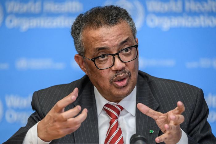 Direktur Jenderal World Health Organization (WHO) Tedros Adhanom Ghebreyesus.