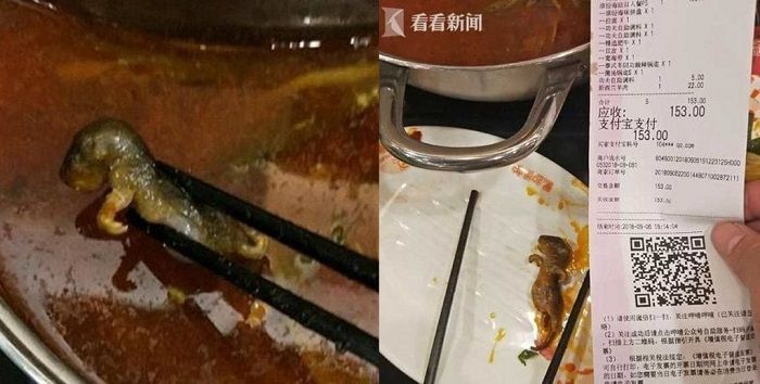 Bangkai tikus dalam mangkuk sup