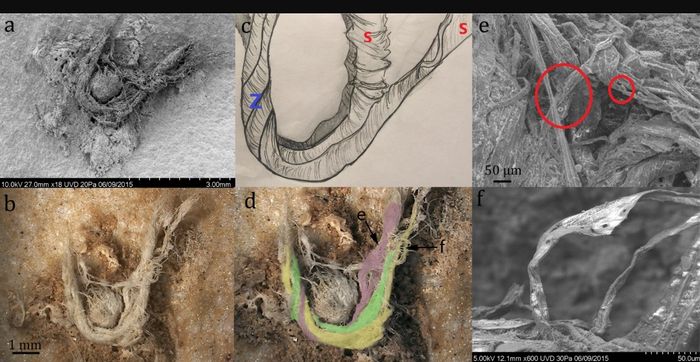 Rajutan yang ditemukan para peneliti, detail tali, dan asal serat yang mungkin digunakan oleh Neanderthal