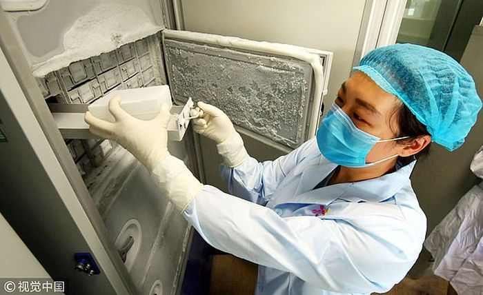 Foto-foto Mengejutkan Laboratorium di Wuhan.