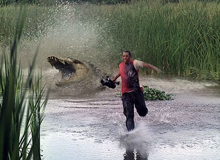 Monster Gustave, Buaya Raksasa Pemangsa 300 Manusia, Tak Pernah Bisa Dibunuh Meski Diserbut AK47