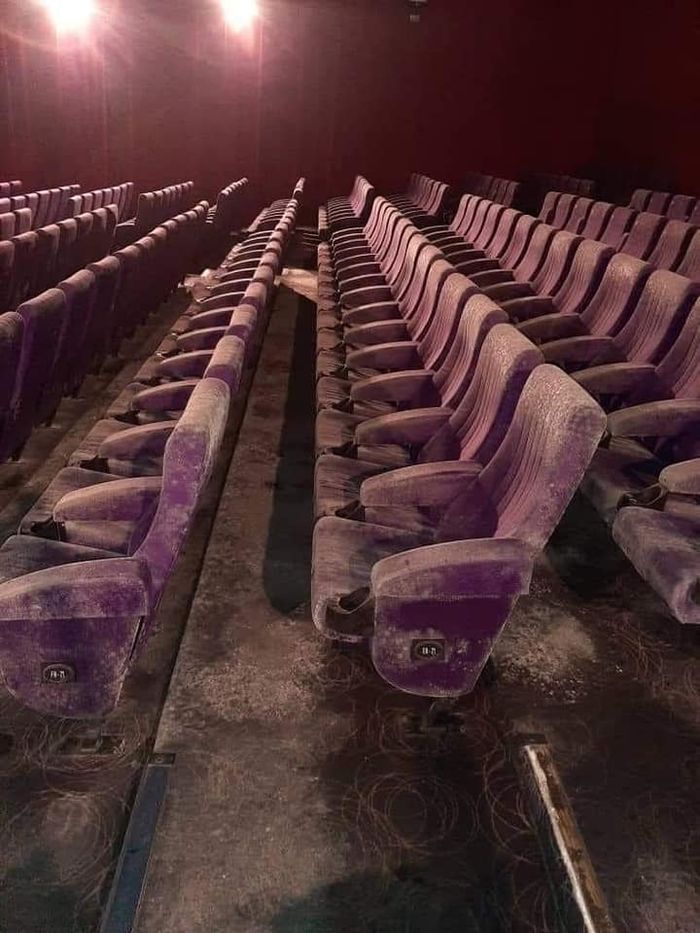 Kursi bioskop yang berjamur.