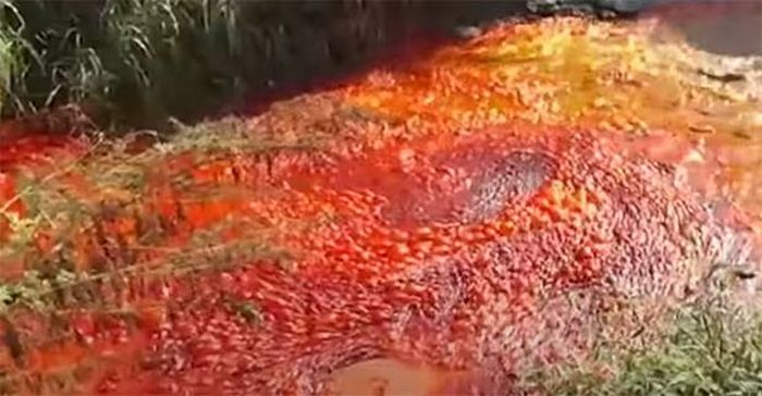 Sungai di Israel berubah merah