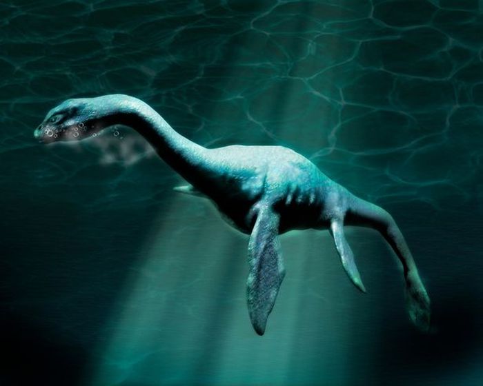 Ilmuwan Sebut Bahwa Rekaman Monster Loch Ness Bisa Jadi Asli Akan Sangat Menarik Untuk Mengeringkan Laut Dan Melihat Apa Saja Isinya Semua Halaman Intisari Ilmuwan Sebut Bahwa Rekaman Monster Loch Ness Bisa Jadi Asli Akan Sangat Menarik Untuk Mengeringkan Laut Dan Melihat Apa Saja Isinya Semua Halaman Intisari
