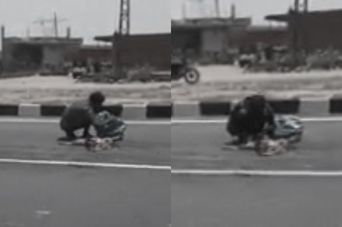Pekerja imigran tertangkap kamera tengah memungut bangkai binatang yang  terlindas di jalan raya dan mencoba untuk memakannya.