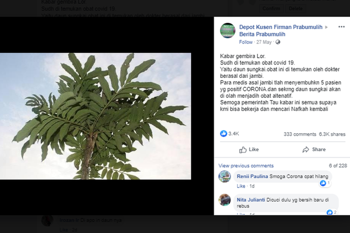 Informasi Viral soal Daun Sungkai untuk Obati Covid-19