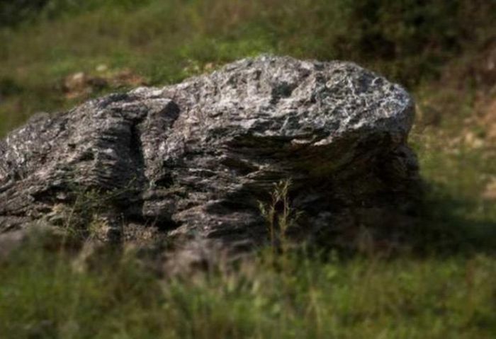 Batu berbentuk kodok.
