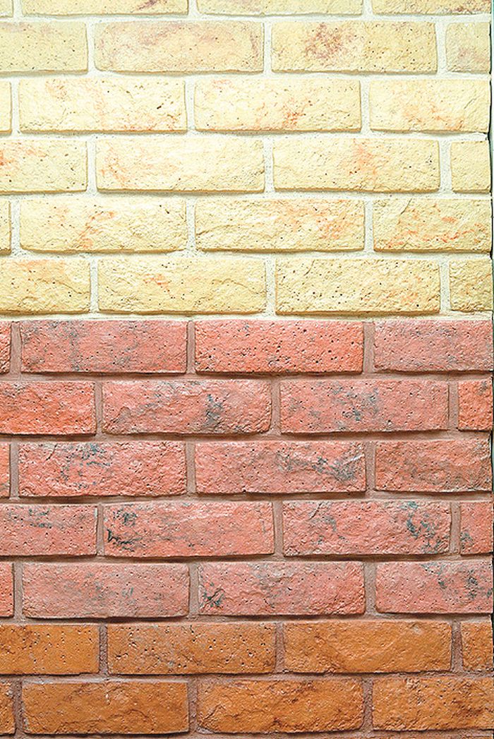 Mengilap Tanpa Diberi Coating, Kenali Jenis Bata Tempel yang Ada di