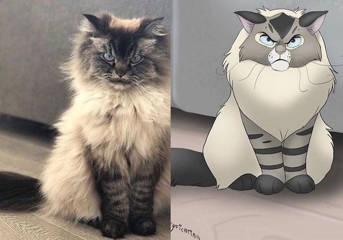 Gemas! Seniman Ini Mengubah Foto Hewan Peliharaan Menjadi Seperti
