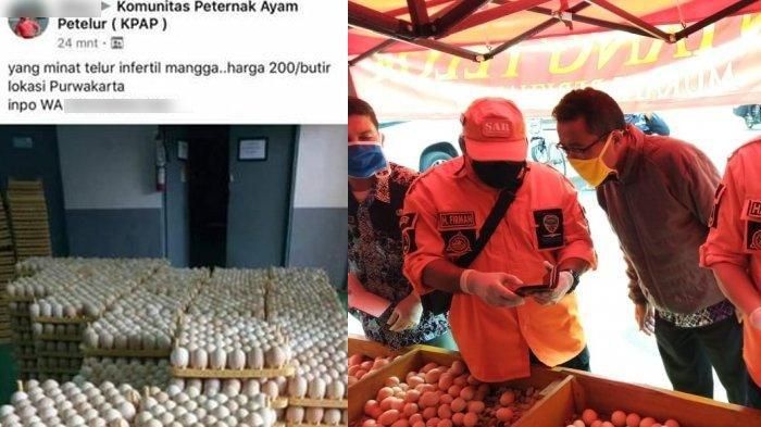 Telur infertil beredar di pasaran