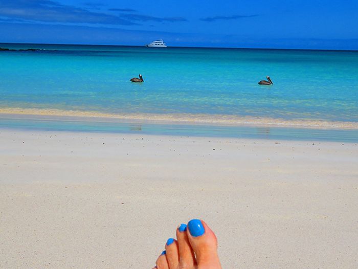 Suzzane di Galapagos