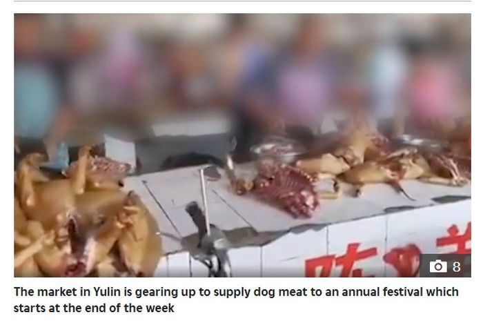 Pasar di China jual daging anjing.
