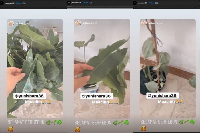 Yuni Shara kirimkan tanaman untuk Ashanty