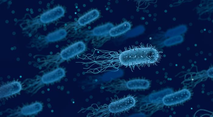 Ilustrasi bakteri Listeria monocytogenes