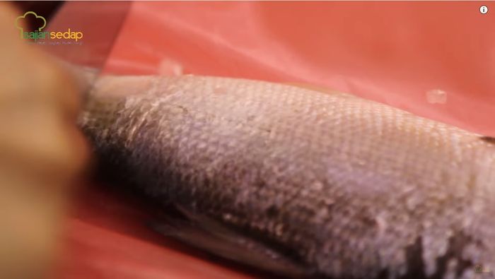 Cara membersihkan sisik ikan dengan kantong plastik
