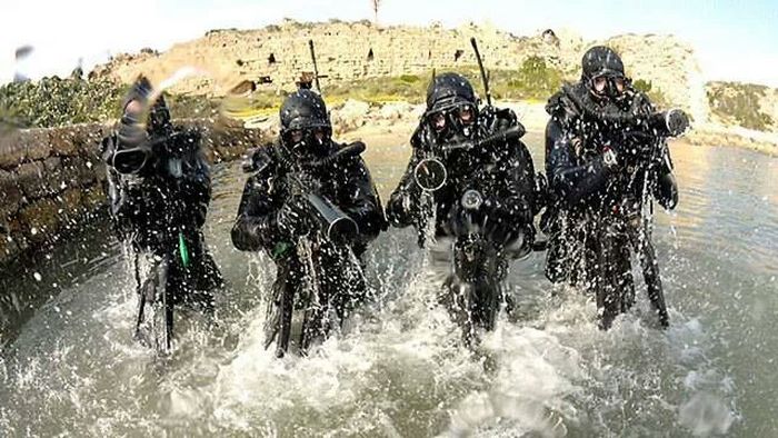 Huntsmen Corps, pasukan pemburu Denmark.