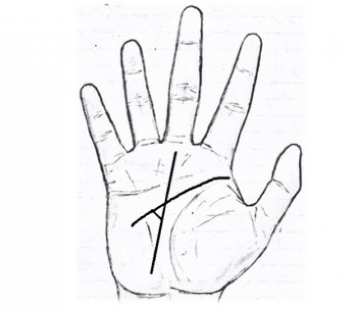 Begini Garis Tangan Orang yang Bakal Sukses, Anda Termasuk