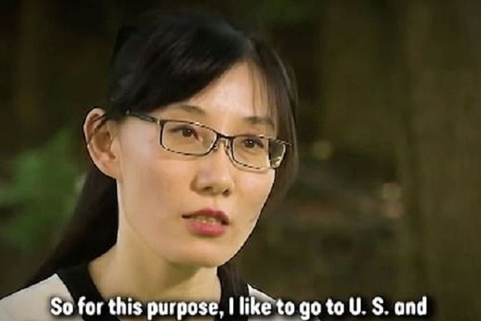 Li-Meng Yan