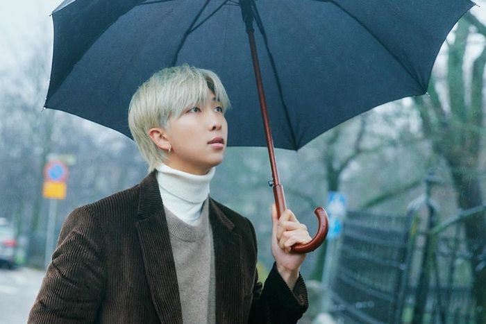RM <a href='https://kupang.tribunnews.com/tag/bts' title='BTS'>BTS</a>