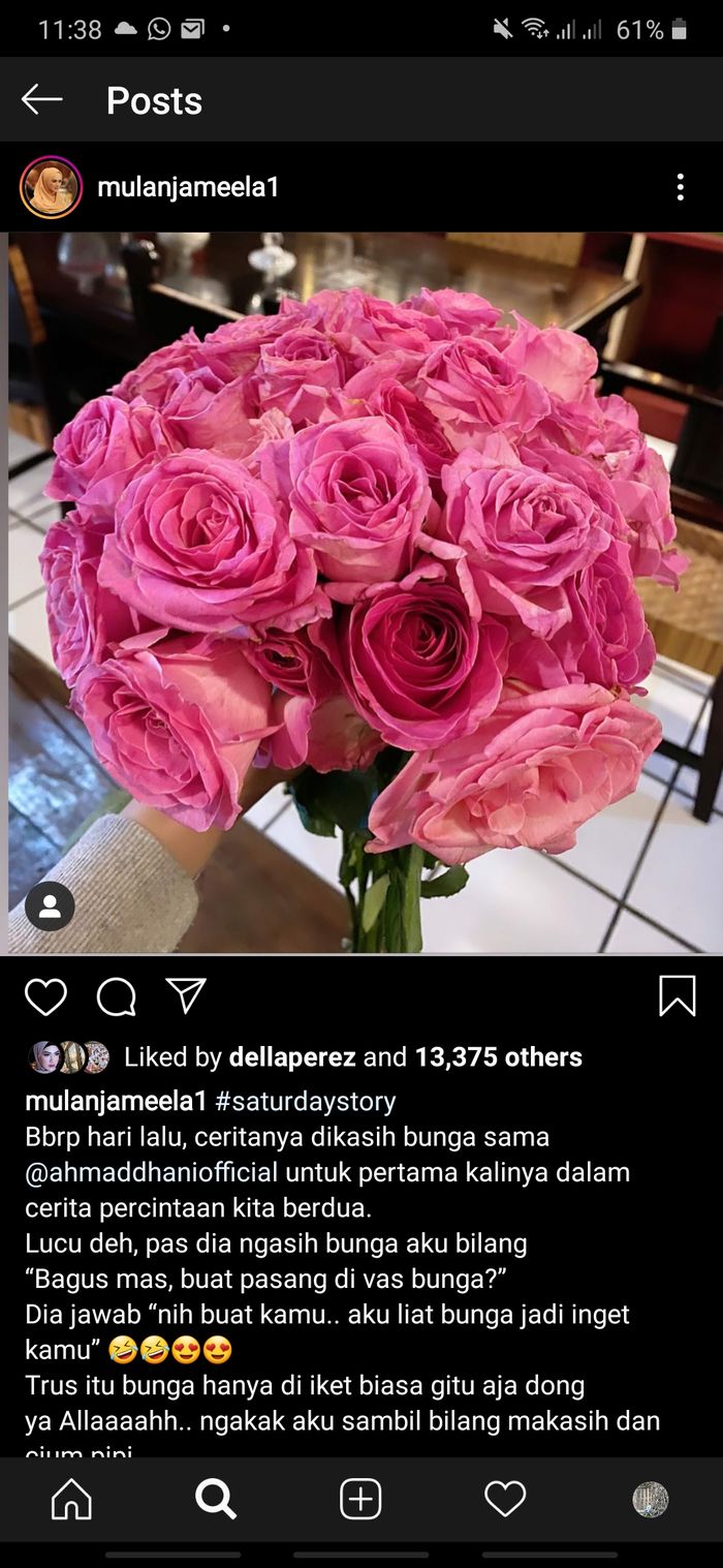 postingan Mulan Jameela (grid.id?