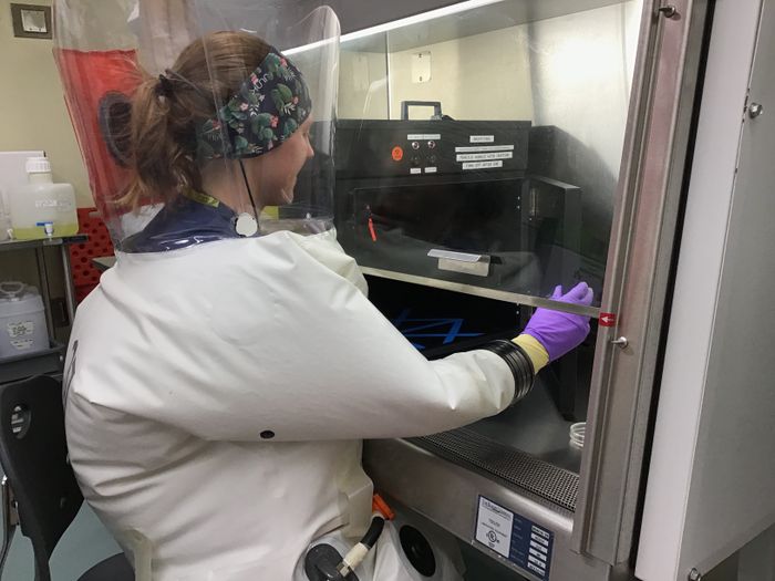 Laboratorium virus