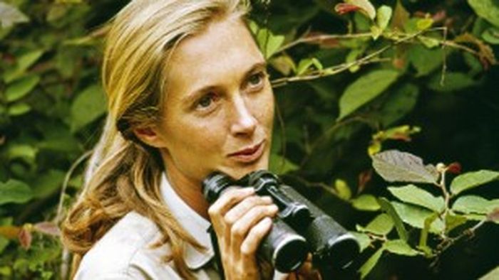 Kisah Jane Goodall