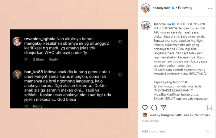 Shandy Aulia balas komentar netizen.