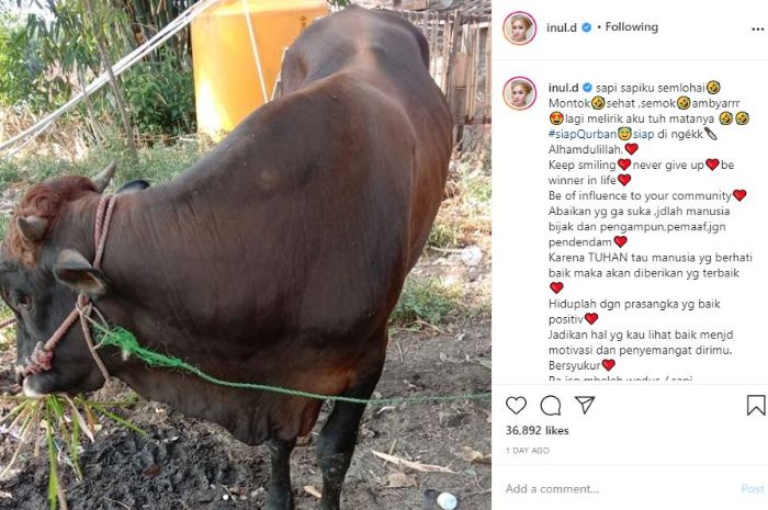 Potret hewan kurban Inul DaratistaTangkap layar Instagram @inul.d