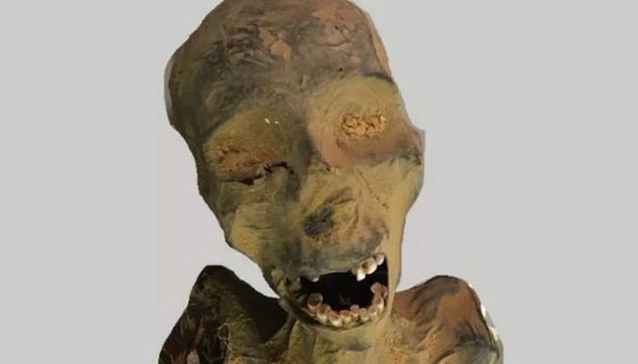 Temuan Peneliti tentang Mumi Mesir dengan Mulut Terbuka, Ada Dugaan  'Mumi Berteriak' Itu Mengalami Kematian yang Memilukan