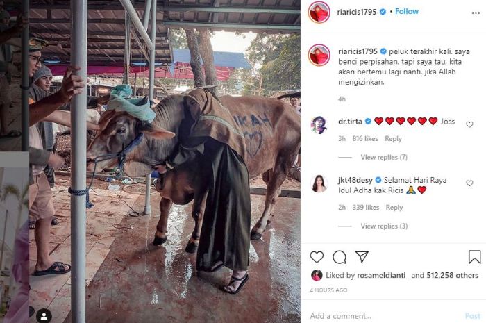Potret Ria Ricis saat peluk Sarikah, seekor sapi yang akan ia kurbankan di hari raya Idul Adha 2020.