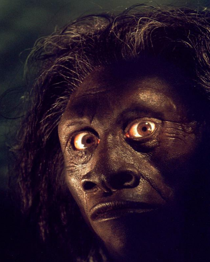 Raut wajah Homo floresiensis yang direkonstruksi oleh John Gurche, seniman asal Amerika yang pernah menjadi konsultan Jurassic Park. Sementara, kisah bertajuk Mereka yang Terlewatkan Waktu ditulis oleh Mike Morwood, Thomas Sutikna (Pusat Penelitian Arkeologi Nasional), dan Richard Roberts.