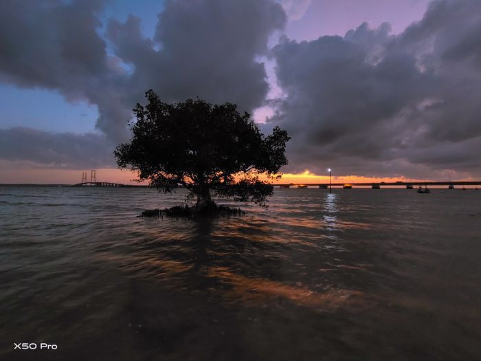 Elegi Hutan Mangrove Tentang Retaknya Hubungan Manusia Dan Alam Semua Halaman National Geographic Elegi Hutan Mangrove Tentang Retaknya Hubungan Manusia Dan Alam Semua Halaman National Geographic