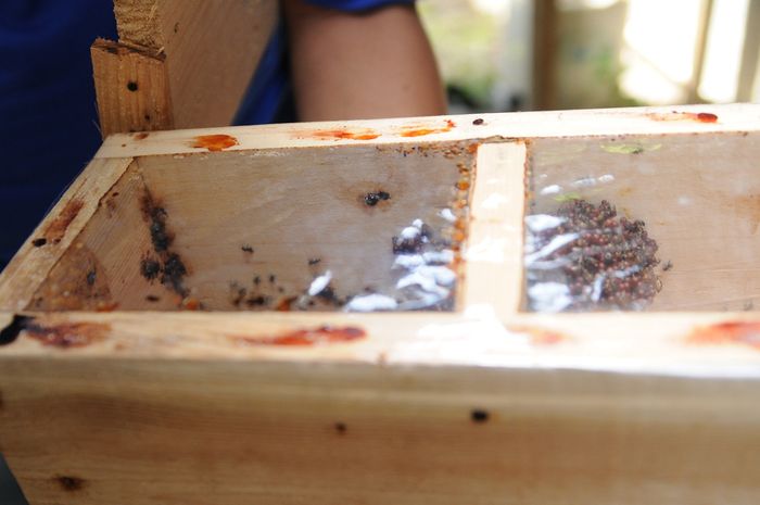 Gara-gara Asam Lambung Menahun, Rezeki Totok Jadi Lebih Kenceng 