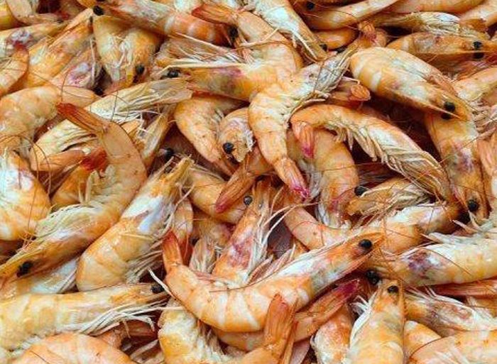 Ilustrasi udang
